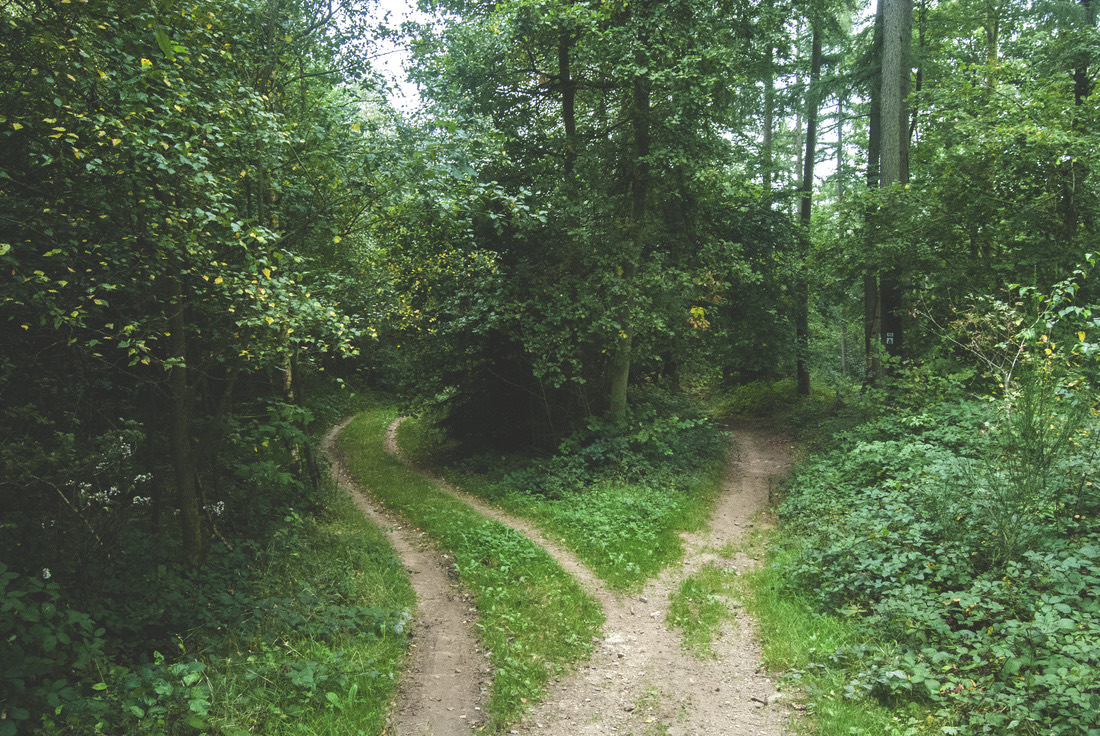 10 Tips to Streamline Decision Making